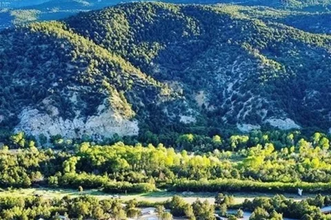 Cedar Canyon Retreat