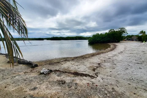 Key Largo Campground and Marina