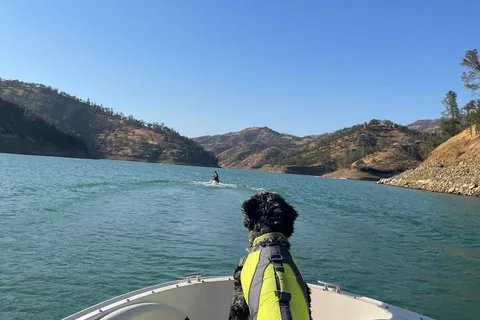 Pleasure Cove Marina - Lake Berryessa