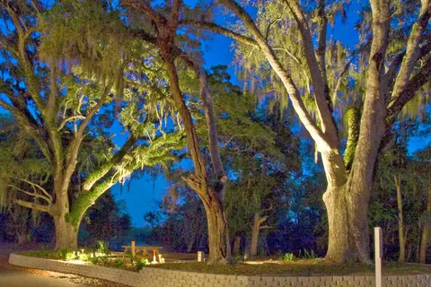 Live Oak Landing