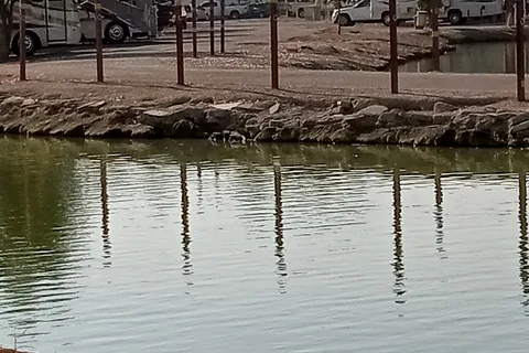 Wilderness Lakes RV Resort