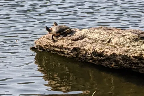 Greenbrier State Park