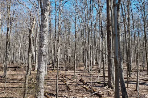 Greenbrier State Park
