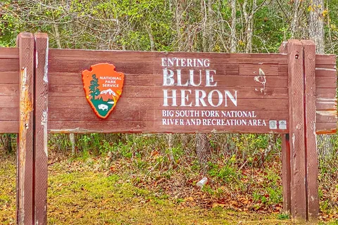 Blue Heron - Big South Fork National River Recreational Area