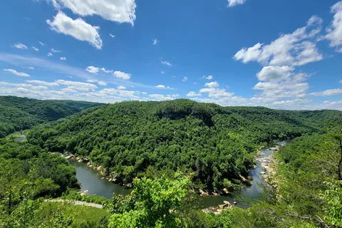 Blue Heron - Big South Fork National River Recreational Area