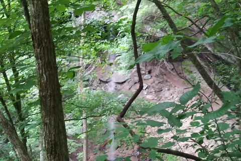 Blue Heron - Big South Fork National River Recreational Area