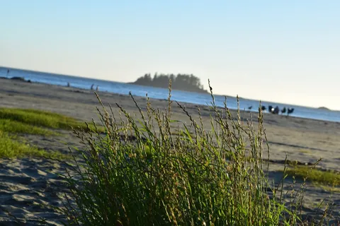 Bella Pacifica Resort