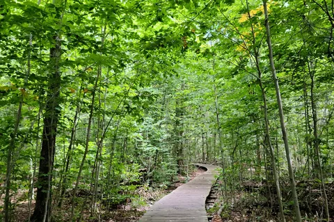 Parc provincial Killbear