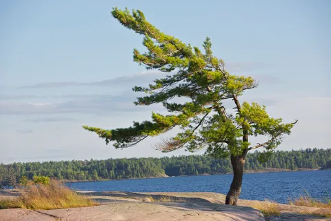 Parc provincial Killbear