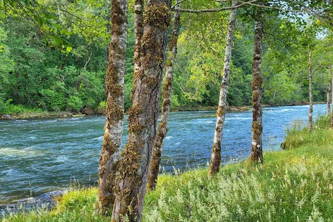 Casey's Riverside RV Park