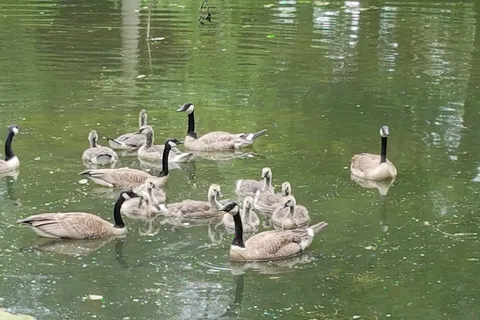 Green Acre Park Campground