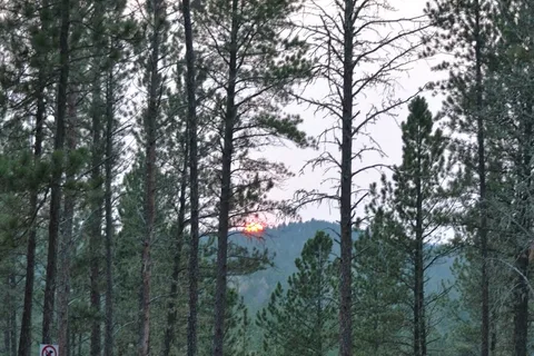 Big Pine Campground
