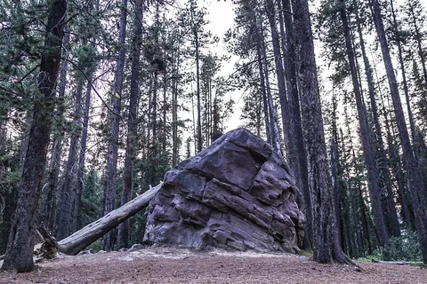 Honeymoon Lake Campground - Jasper National Park