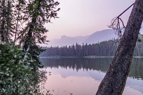 Honeymoon Lake Campground - Jasper National Park