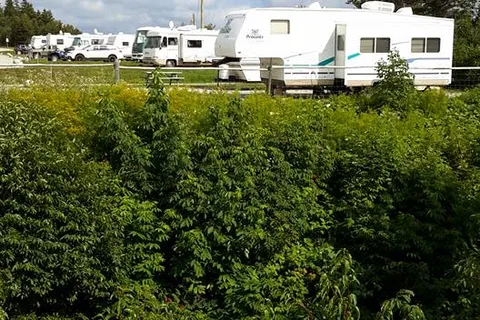 Pirates Haven RV Park and Chalets