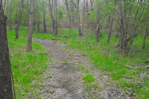 Pushmataha - Sequoyah Bay State Park