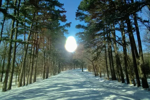 Pushmataha - Sequoyah Bay State Park