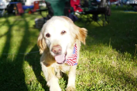 Kibby Creek Campground, Ludington, MI