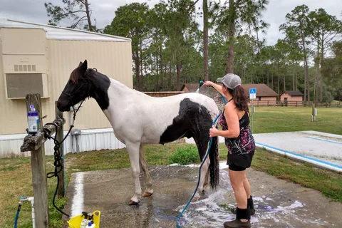 Fiddlers Green RV Ranch
