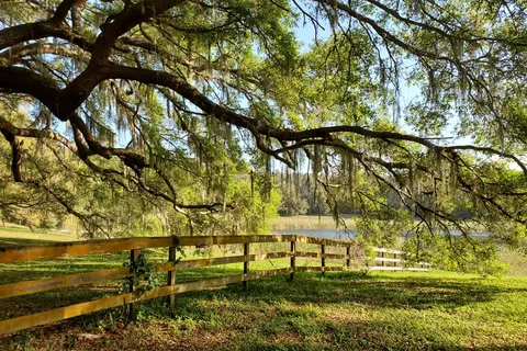 Fiddlers Green RV Ranch