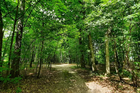 Grand Isle State Park