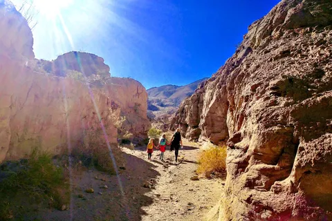 Calcite Mine Area - Anza-Borrego Desert State Park