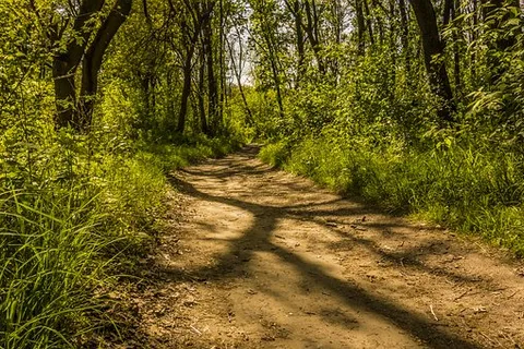 Lake Charles State Park
