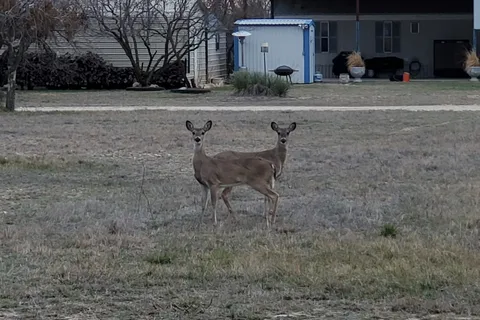 Elm Creek RV and Campgrounds
