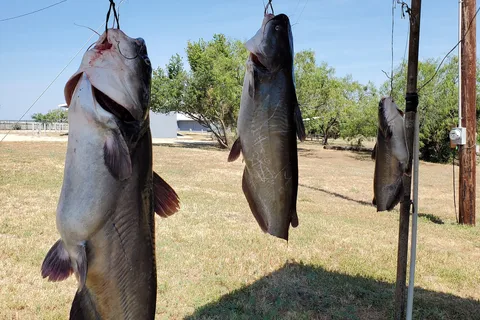 Elm Creek RV and Campgrounds