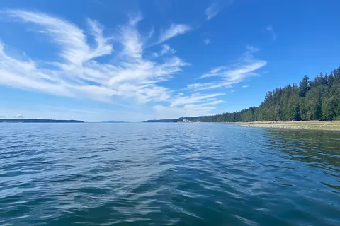 Willingdon Beach Campsite