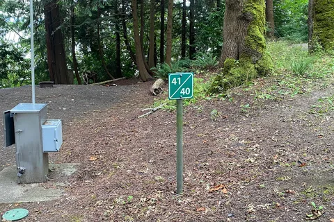Willingdon Beach Campsite
