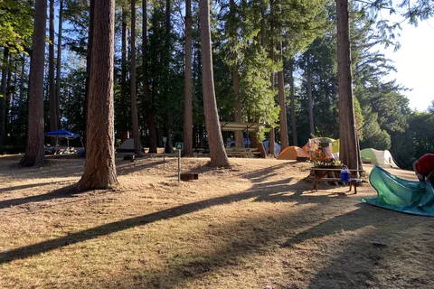 Willingdon Beach Campsite