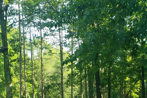 Horse Camp - Red Hills State Park