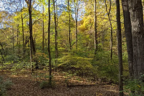 Horse Camp - Red Hills State Park