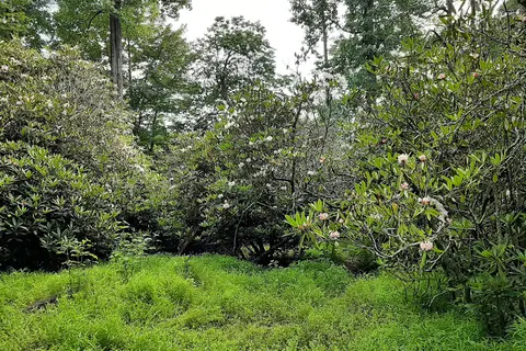Julian Price Park Campground - Blue Ridge Parkway National Park
