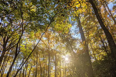 Julian Price Park Campground - Blue Ridge Parkway National Park