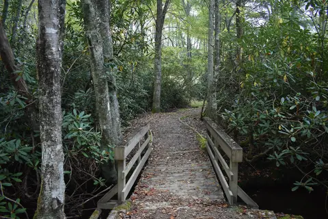 Julian Price Park Campground - Blue Ridge Parkway National Park