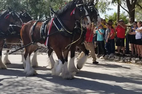 Tamiami RV Park