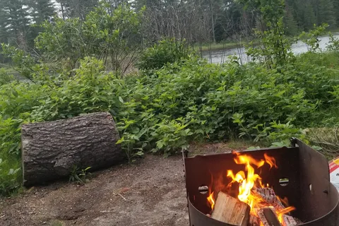 Mew Lake - Algonquin Provincial Park