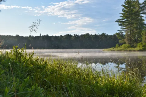 Mew Lake - Algonquin Provincial Park