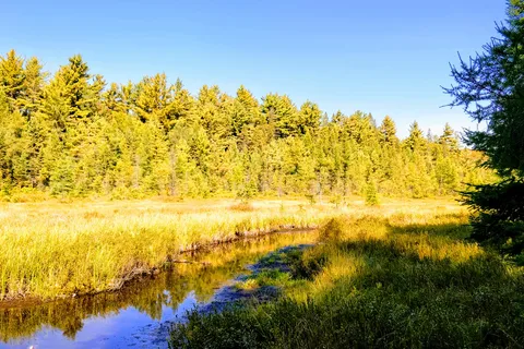 Mew Lake - Algonquin Provincial Park