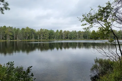 Mew Lake - Algonquin Provincial Park