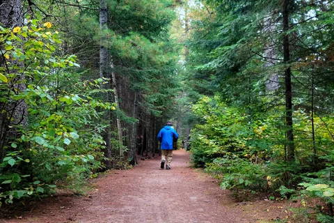 Mew Lake - Algonquin Provincial Park
