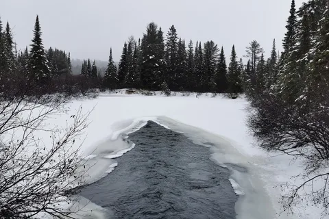 Mew Lake - Algonquin Provincial Park