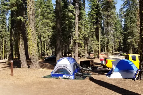 Crane Flat - Yosemite National Park