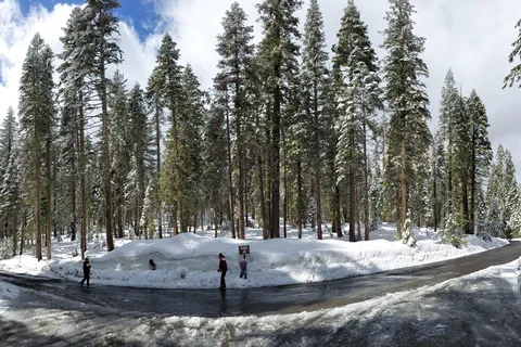 Crane Flat - Yosemite National Park