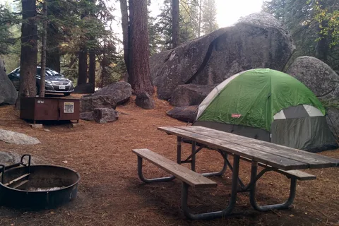 Crane Flat - Yosemite National Park