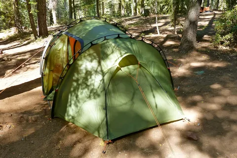 Crane Flat - Yosemite National Park