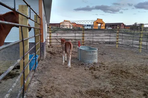 Lakota Prairie Ranch Resort