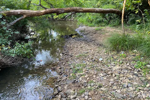 Ye Olde Mill Campground